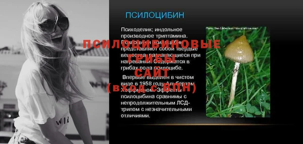 индика Белоозёрский