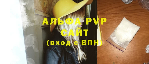 индика Белоозёрский
