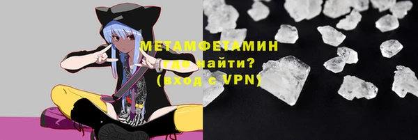 прущие грибы Богданович