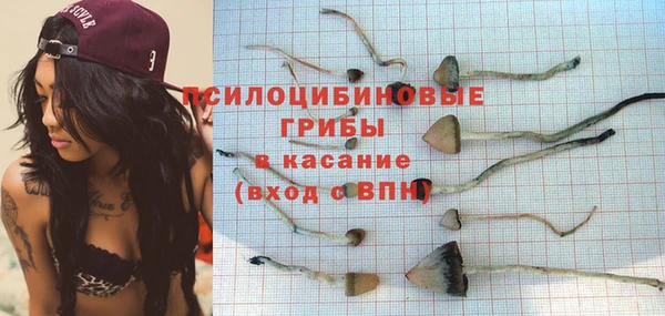 кристаллы Белокуриха