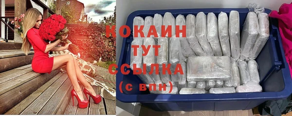 индика Белоозёрский