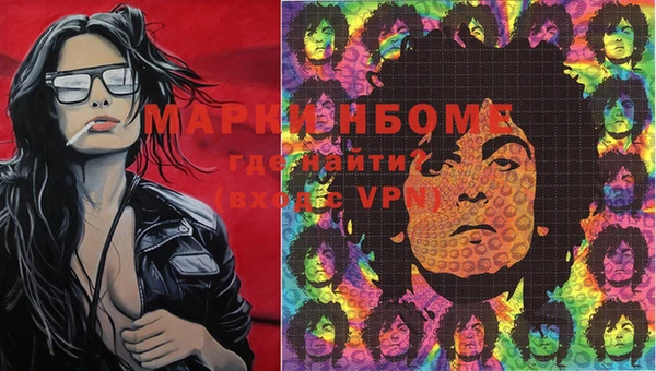 индика Белоозёрский