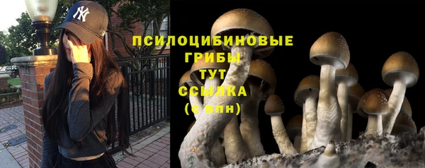 индика Белоозёрский